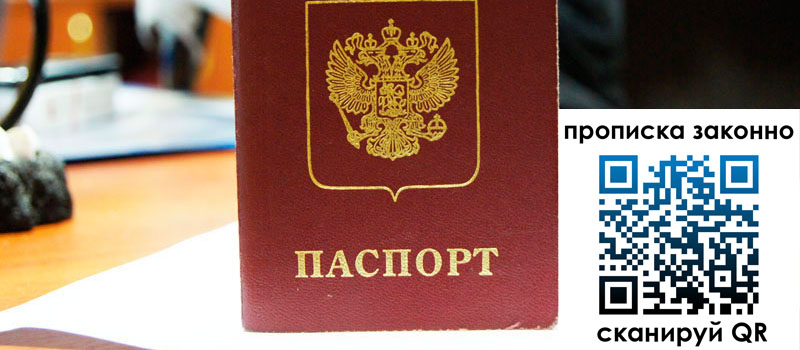 прописка в Купино